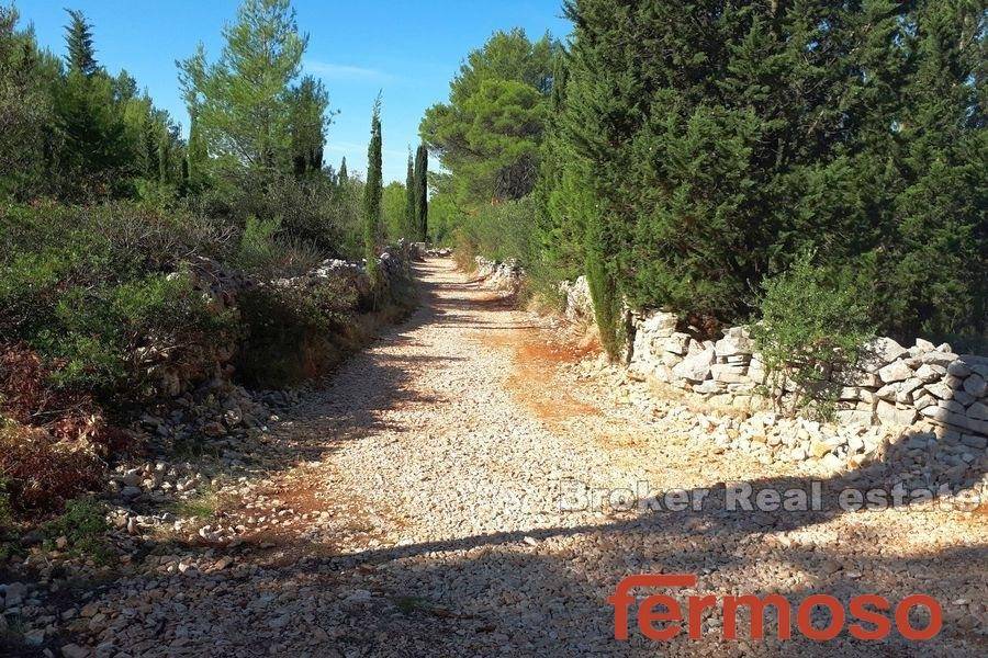 735-40-008-735-40-island-hvar-agricultural-land-with-ruin-for-sale