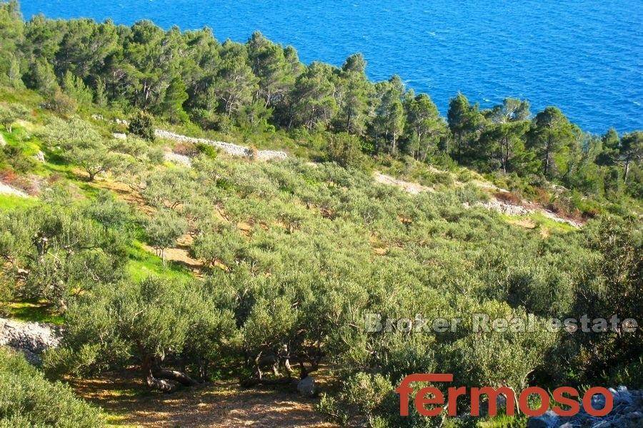 2029-67-004-2029-67-island-hvar-agricultural-plot-for-sale