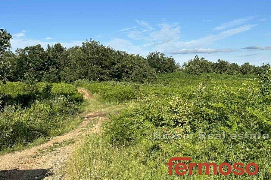 5288-30-003-5288-30-Gospic-large-plot-of-land-for-sale