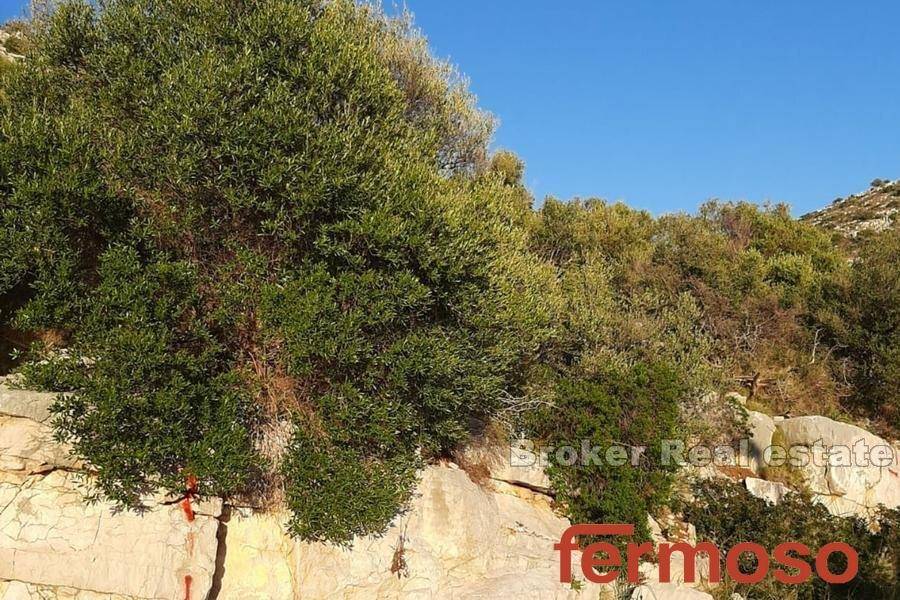 5004-30-004-5004-30-island-lastovo-building-land-for-sale