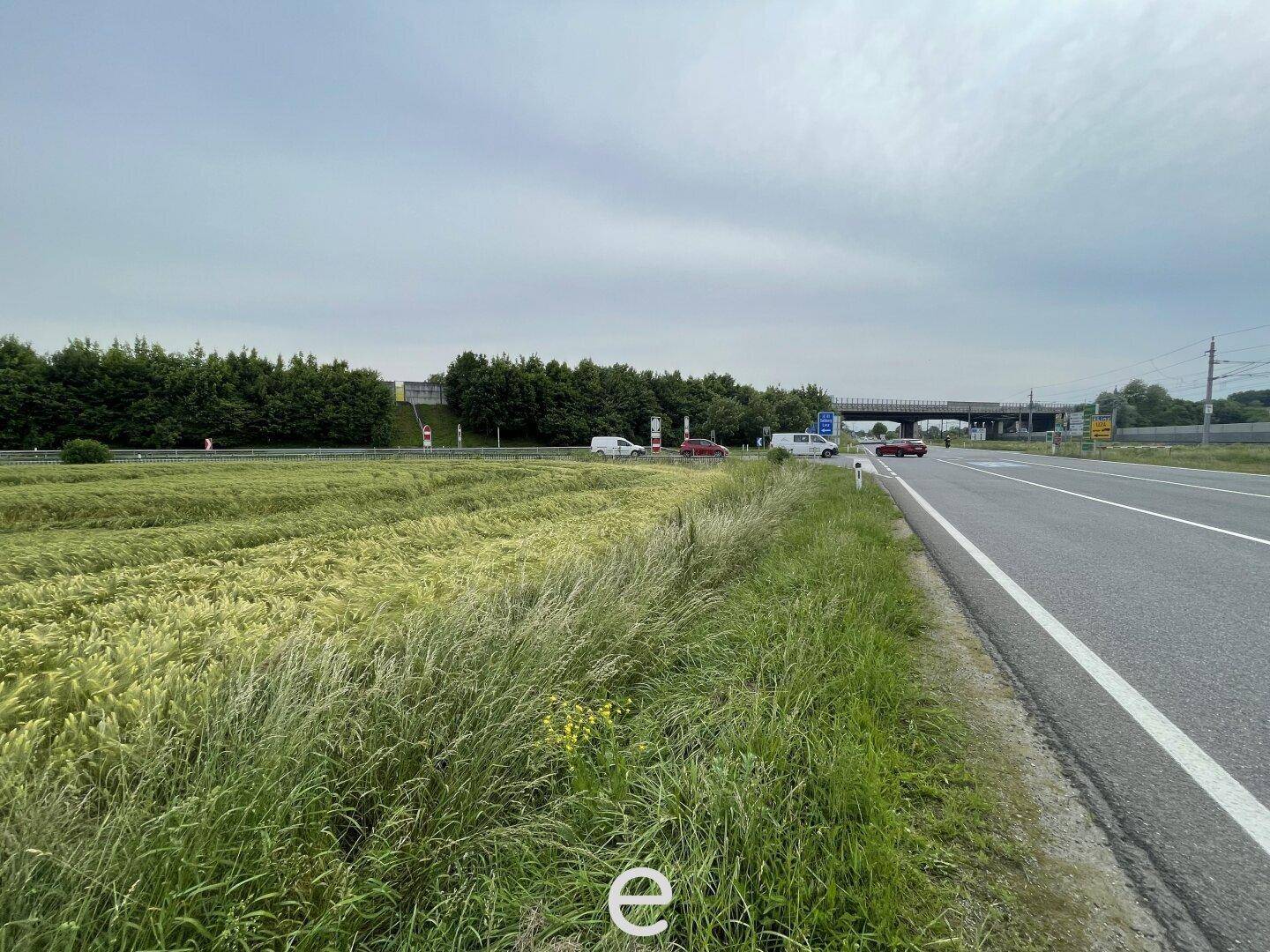 Weites Feld mit grüner Vegetation neben einer Straße und einer Autobahnbrücke im Hintergrund unter bewölktem Himmel.