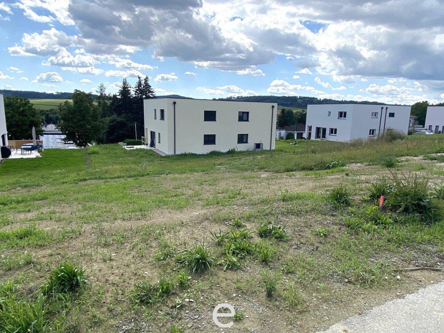 Grünes Grundstück mit einem modernen Gebäude und weiteren Häusern im Hintergrund unter blauem Himmel.