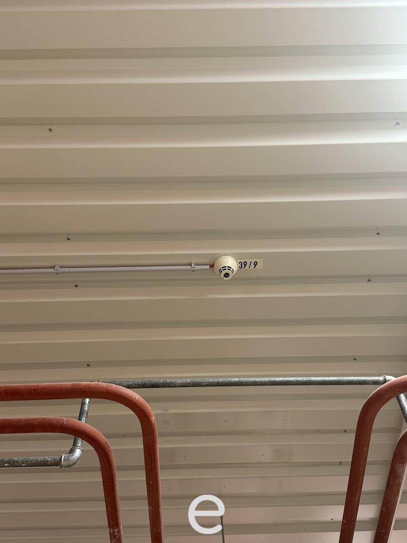Deckenansicht mit einem Rauchmelder und sichtbaren Leitungen in einem Industrieraum.