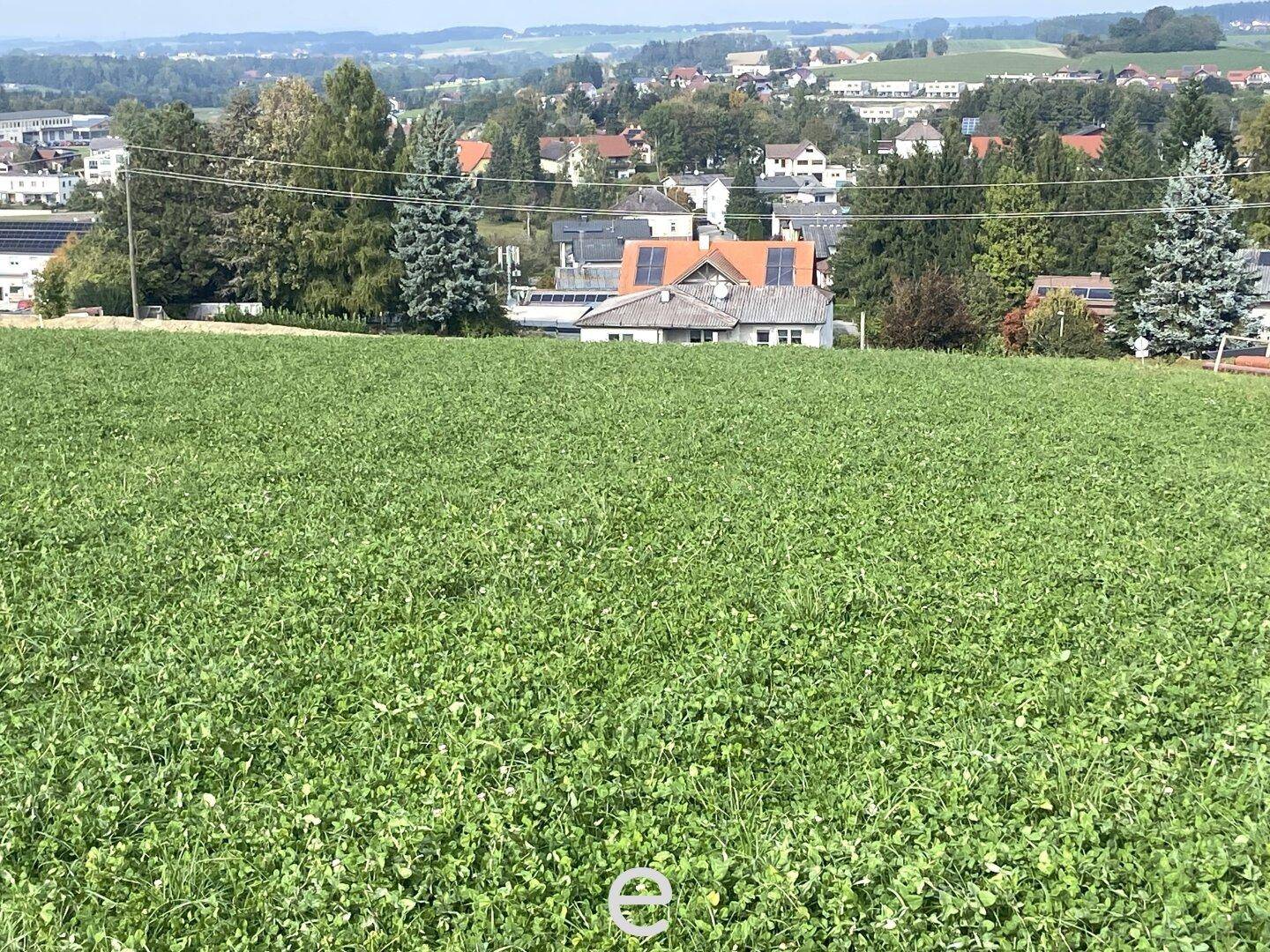 Weite grüne Fläche mit Blick auf eine Wohnsiedlung und Bäume im Hintergrund.
