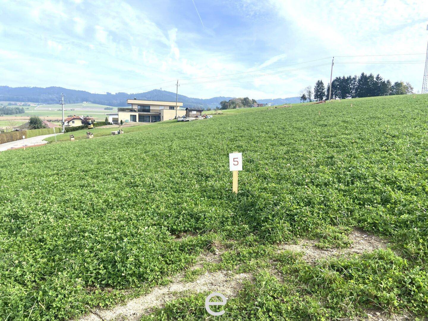 Grüne Wiese mit einem modernen Haus im Hintergrund und sanften Hügeln am Horizont.