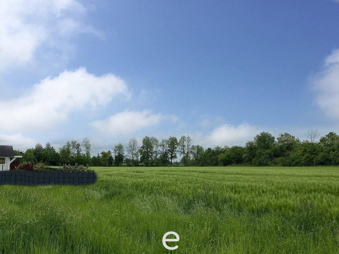 Weites grünes Feld mit Bäumen im Hintergrund und einem kleinen Teil eines Hauses am Rand.