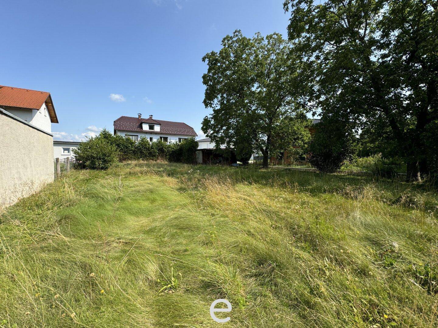 Weitläufiges, ungemähtes Grundstück mit Bäumen und einem Haus im Hintergrund unter blauem Himmel.
