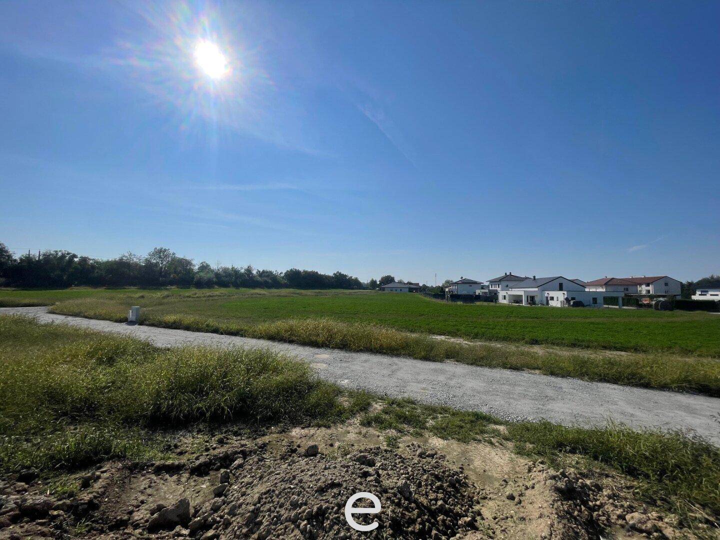 Sonniger Tag über einem großen, unbebauten Grundstück mit Blick auf umliegende Häuser.