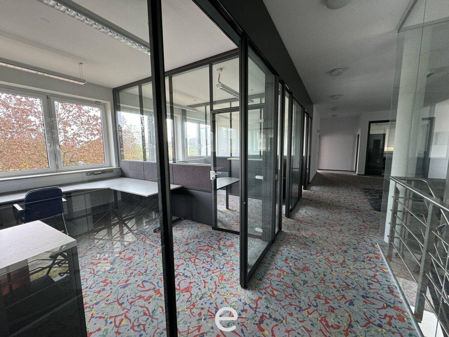 Modernes Büro mit Glaswänden, Teppichboden und Blick ins Grüne durch große Fenster.