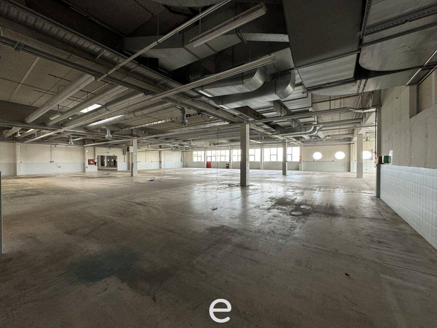 Geräumige Lagerhalle mit Betonboden, hohen Decken und vielen Fenstern für Tageslicht.