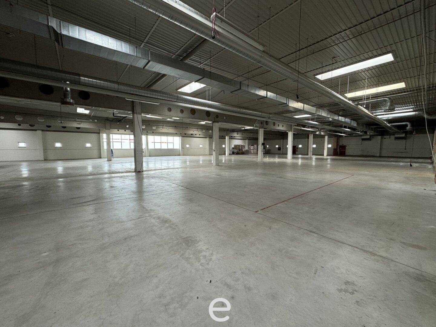 Weitläufige Lagerhalle mit Betonboden, vielen Fenstern und industrieller Deckenkonstruktion mit sichtbaren Rohren.