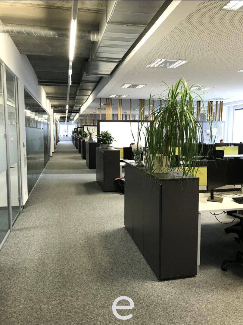Heller Bürogang mit Pflanzen in modernen Pflanzgefäßen und Blick auf offene Arbeitsbereiche, mit Teppichboden und Glaswänden.