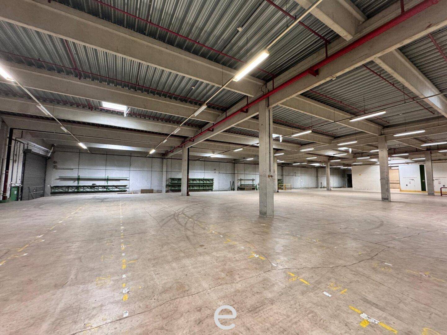 Weitläufige Lagerfläche mit Betonboden und tragenden Säulen, ideal für verschiedene Lagerzwecke.