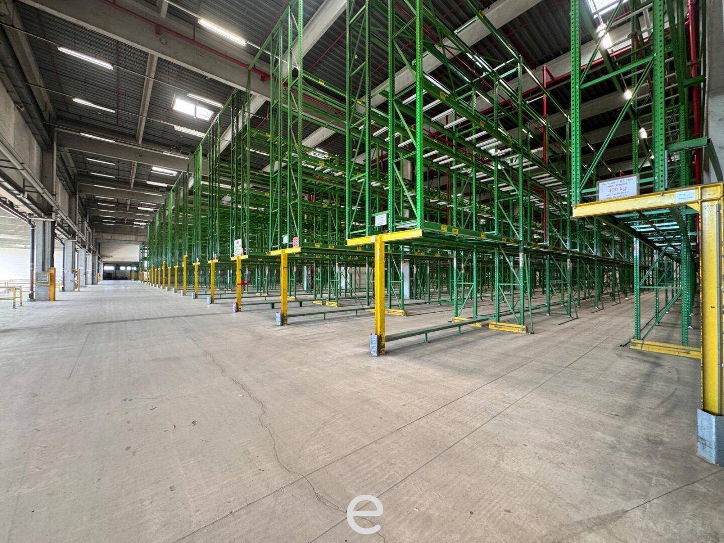 Geräumige Lagerhalle mit hohen grünen Regalsystemen und Betonboden, gut beleuchtet.