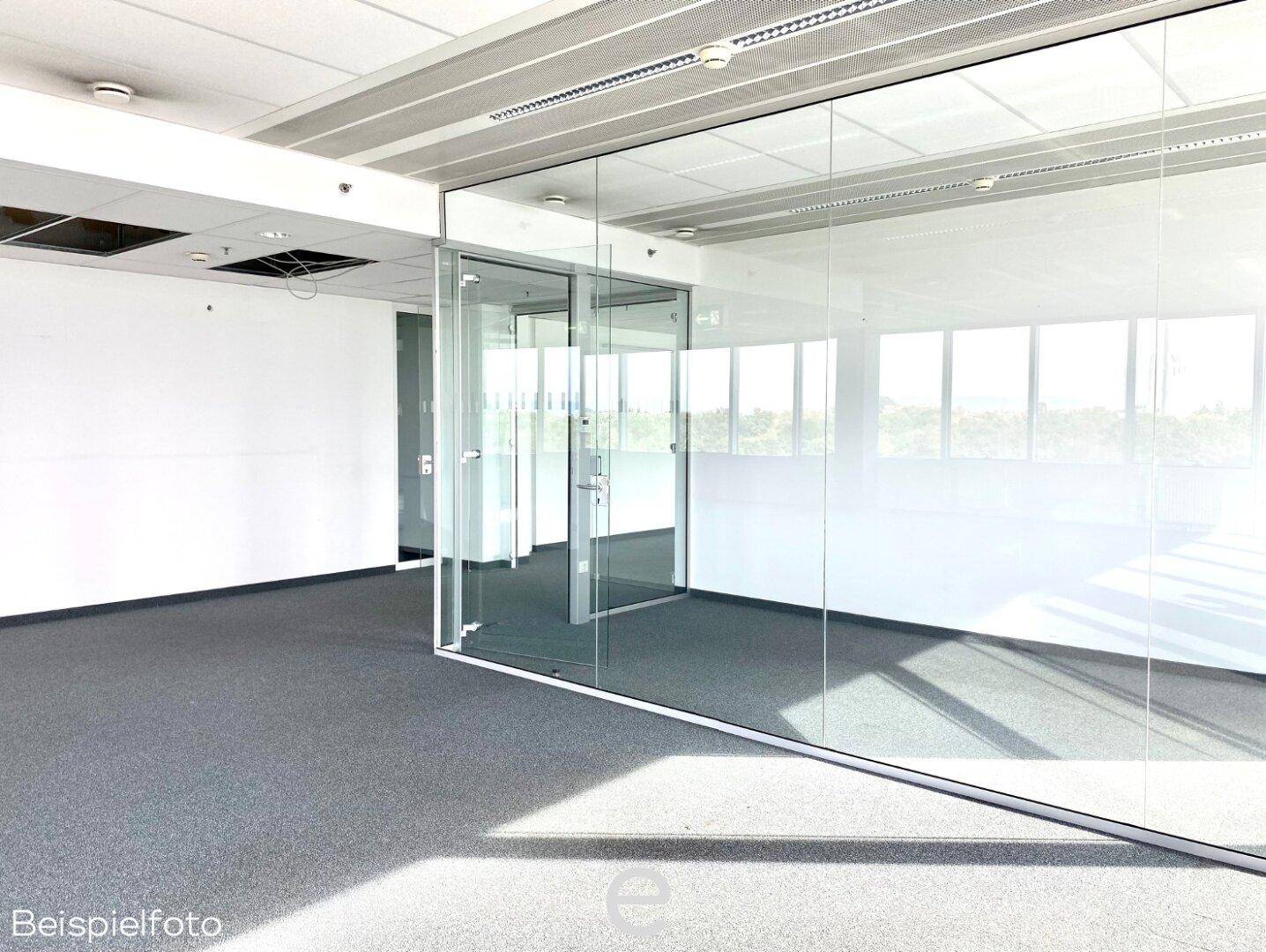 Geräumiger Bürobereich mit Teppichboden und Glaswänden, die separate Arbeitsbereiche schaffen und viel Licht durchlassen.