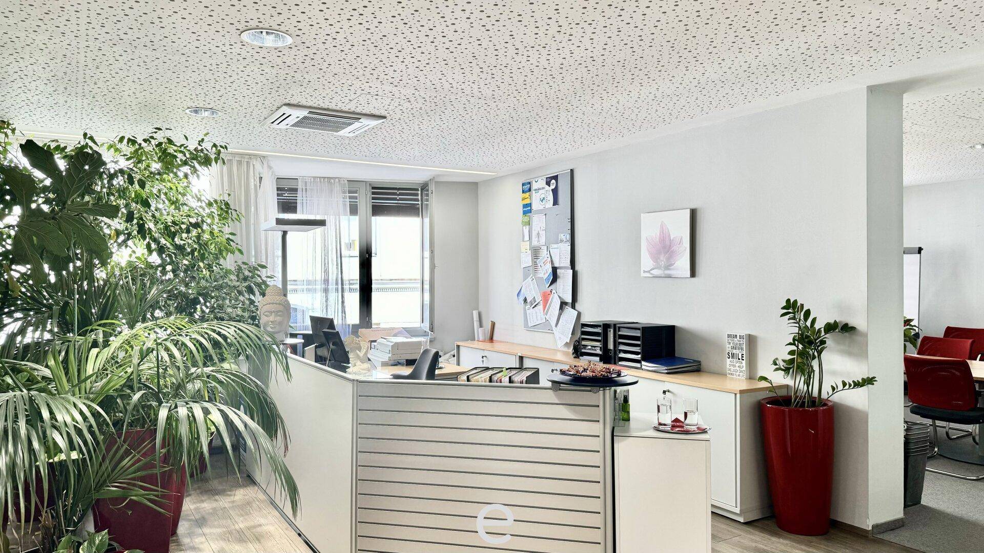 Moderner Empfangsbereich mit vielen Pflanzen, einem Schreibtisch und Blick in weitere Büroräume.