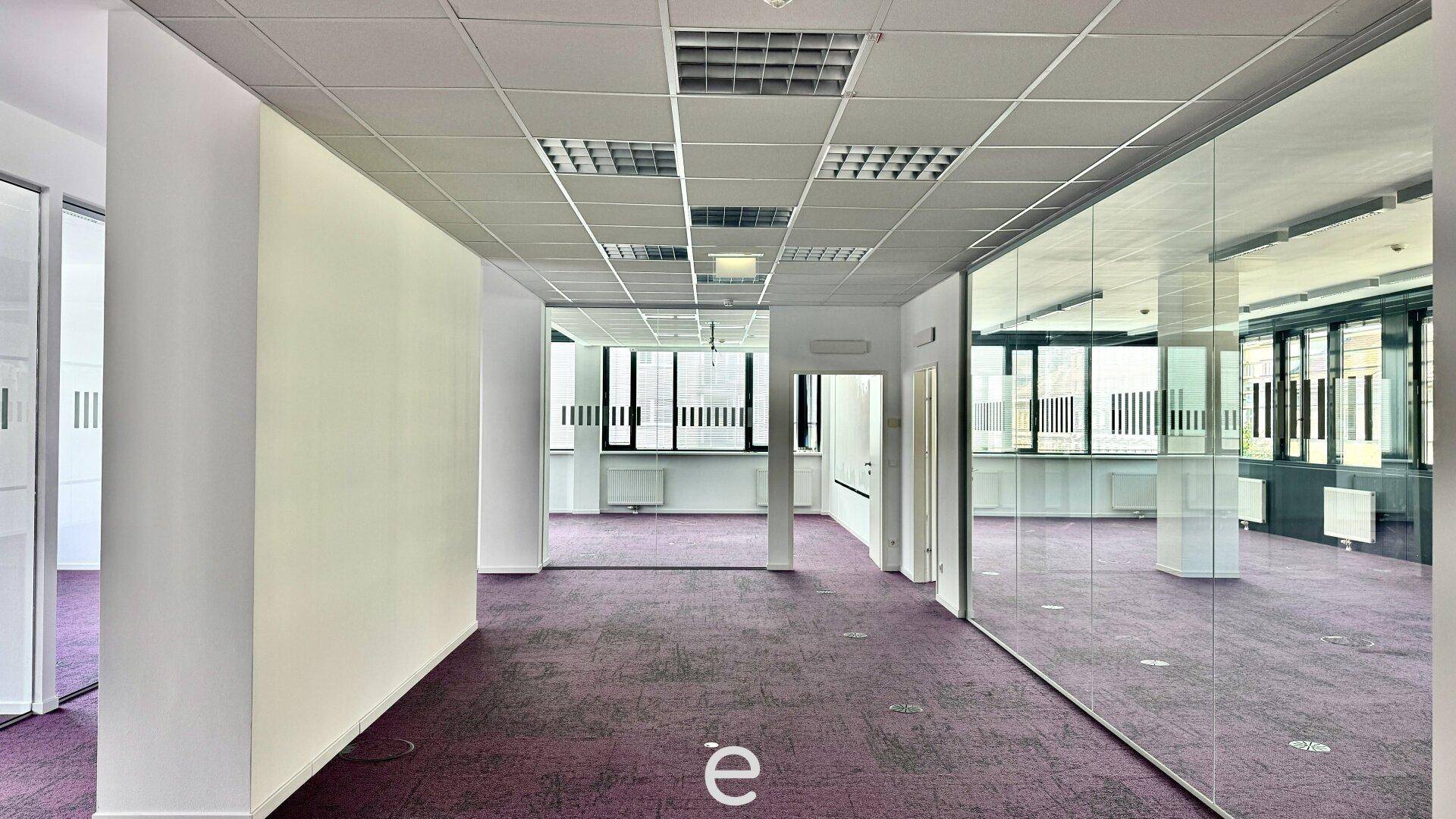Helles Büro mit lila Teppichboden, Rasterdecke und großen Fenstern, die viel Tageslicht hereinlassen.