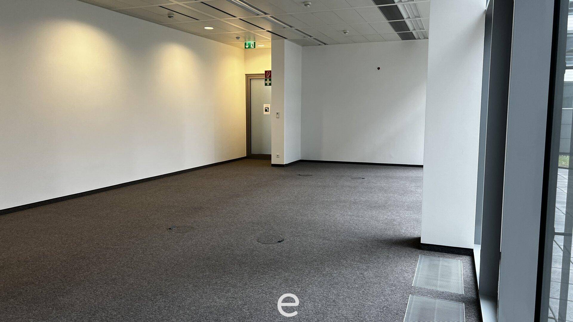 Leerer Büroraum mit Teppichboden, weißen Wänden und Deckenbeleuchtung, bereit zur Einrichtung.