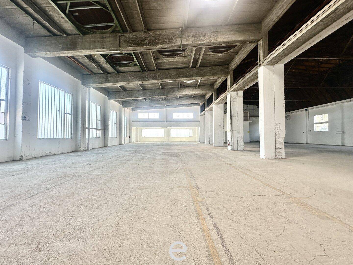 Weitläufige Lagerhalle mit Betonboden, hohen Decken und sichtbaren Holzträgern, viel Tageslicht.