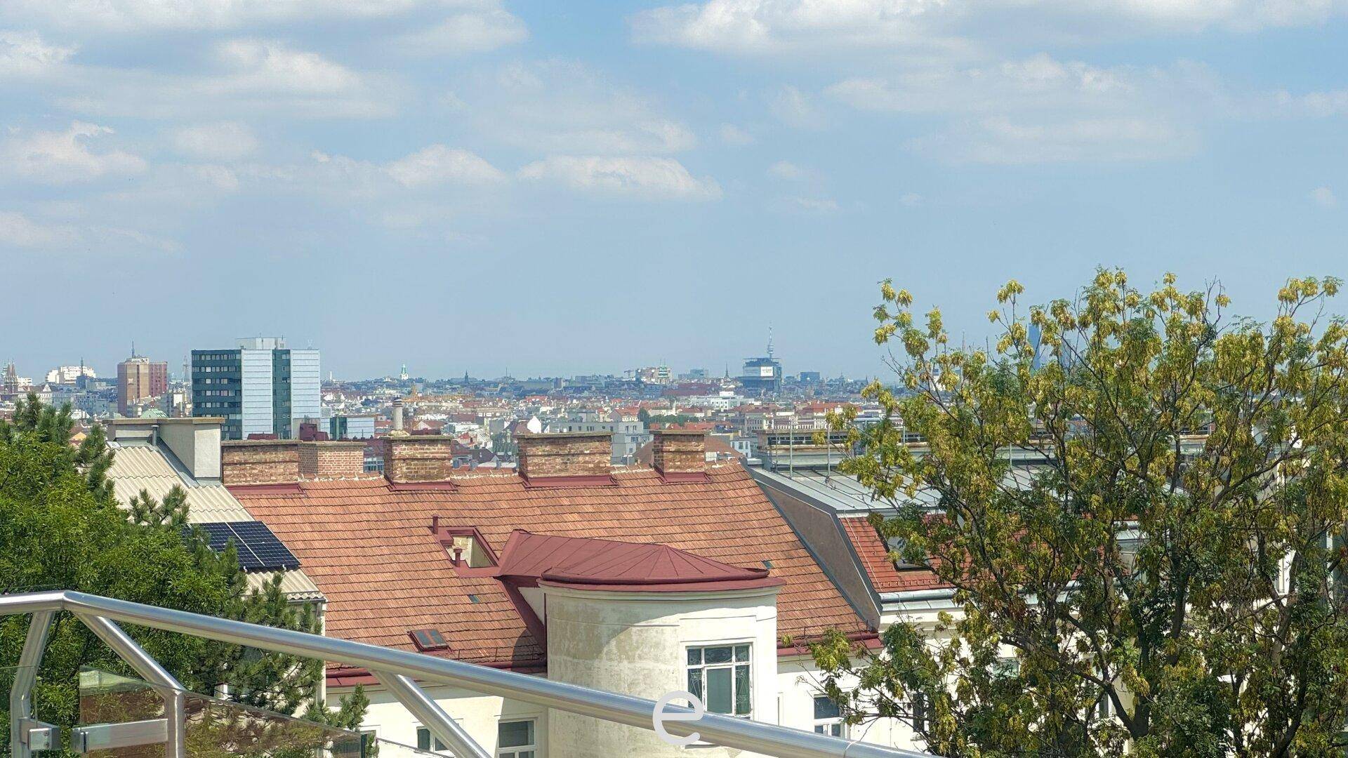 Weitläufiger Stadtblick von der Dachterrasse mit grünen Bäumen und urbaner Skyline.