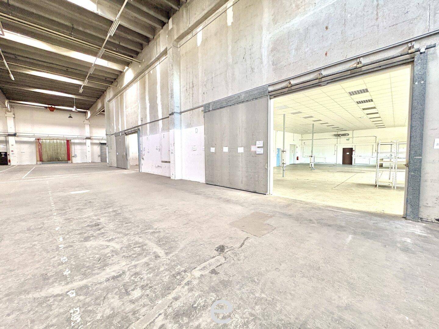 Weitläufige Industriehalle mit großen Schiebetoren und Betonoberflächen, die vielseitige Nutzung ermöglicht.
