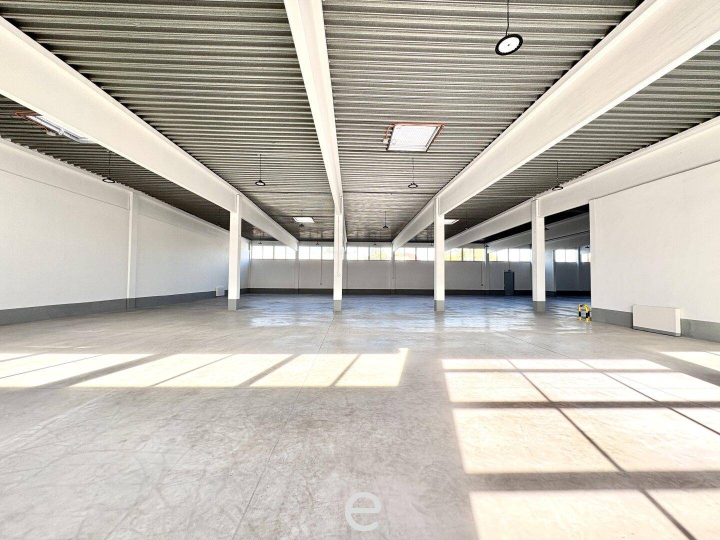Weitläufige, leere Industriehalle mit Betonboden, vielen Stützen und Oberlichtern für viel Tageslicht.
