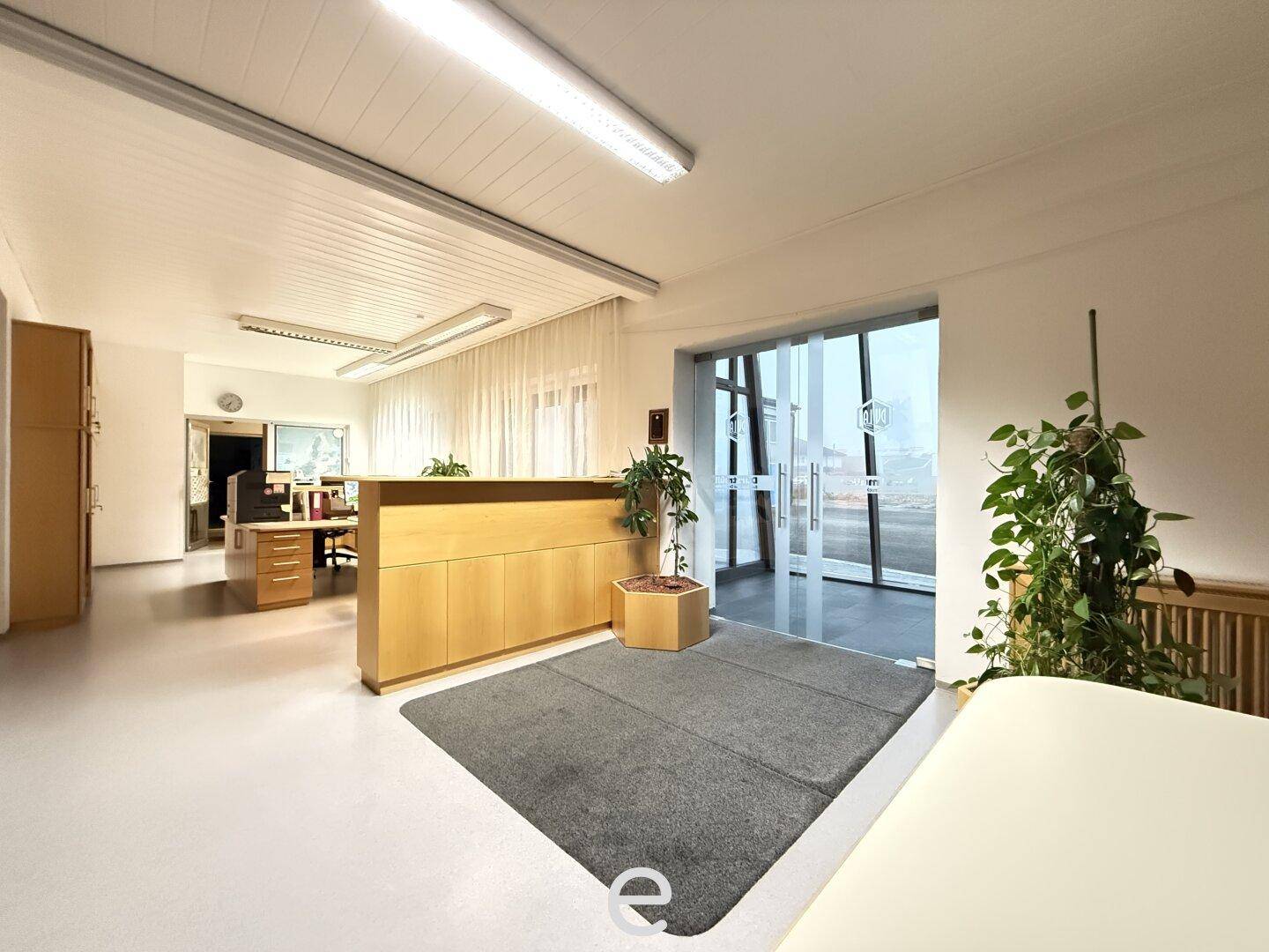 Heller Empfangsbereich mit Holztresen, Teppich und Blick durch die Glasfront nach draußen.