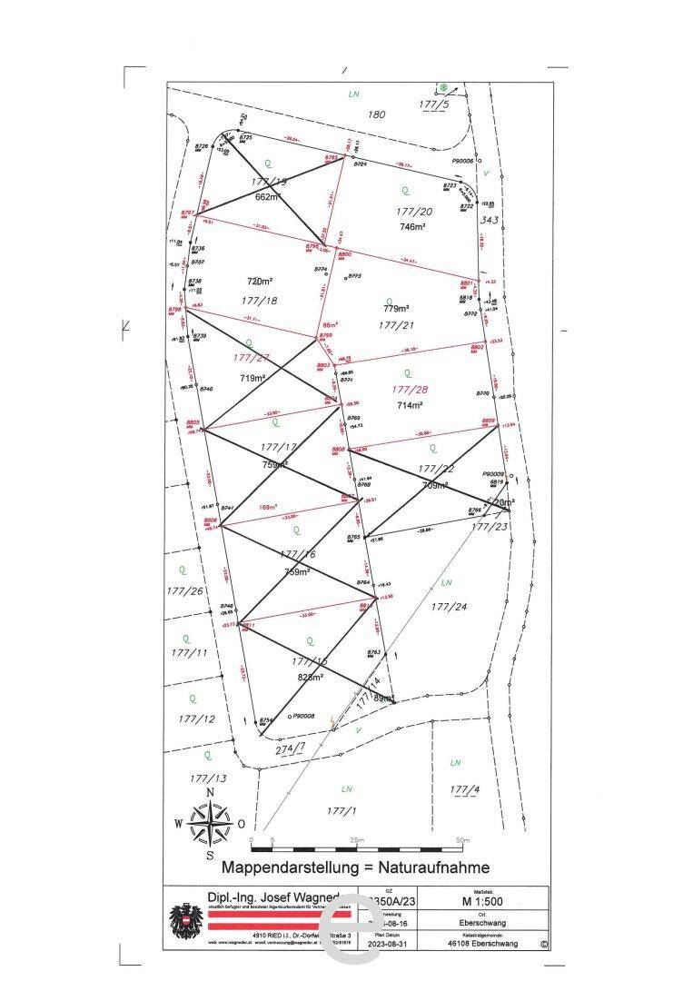 Slide 5