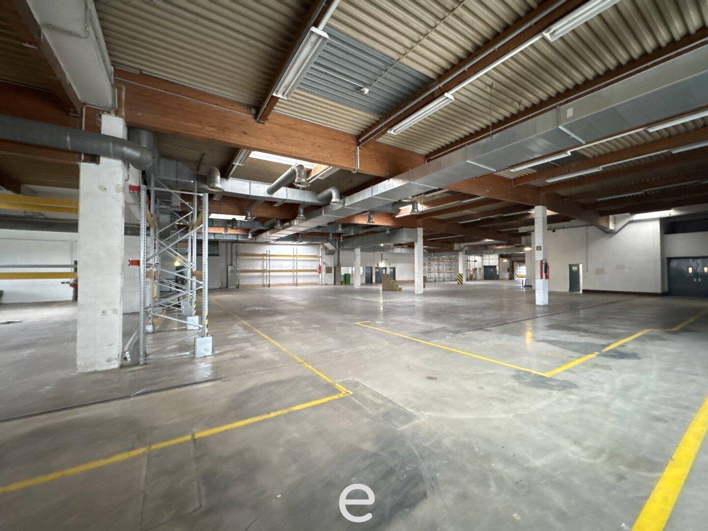 Geräumige Lagerhalle mit Betonboden, hohen Decken und natürlichem Lichteinfall, bereit zur Nutzung.