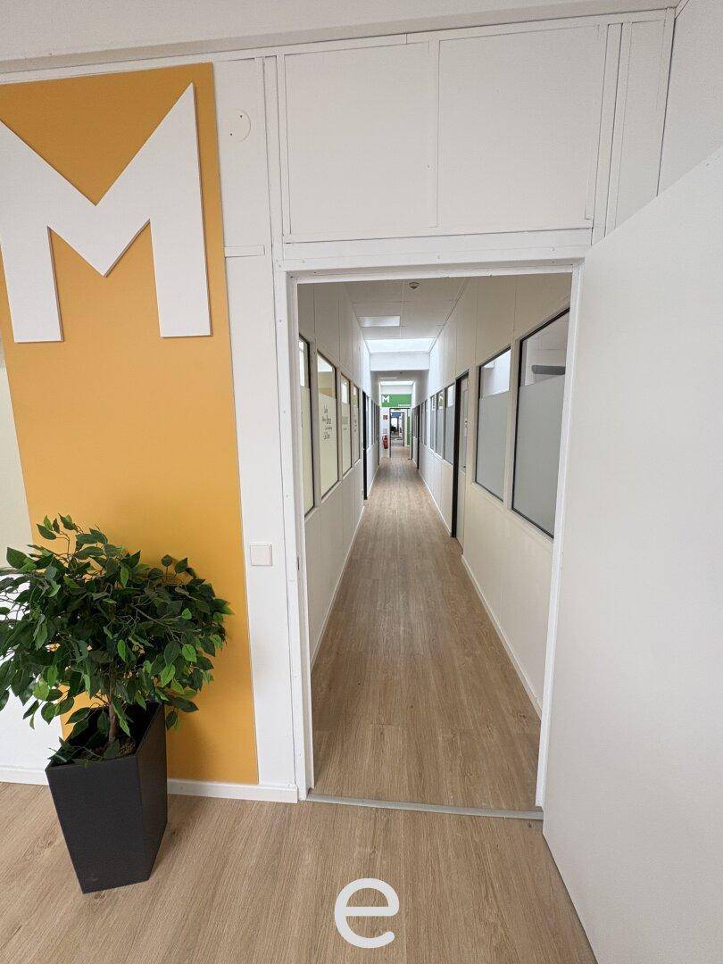 Büro - Mühlbachstraße 2 / 2.06, 4063 Hörsching - Ansicht 4
