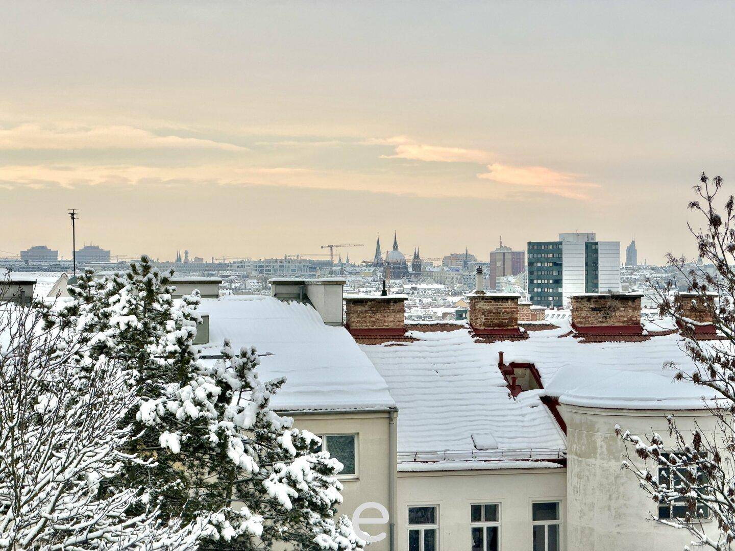 Panoramablick über die verschneiten Dächer der Stadt mit historischen Gebäuden und einem weiten Horizont.