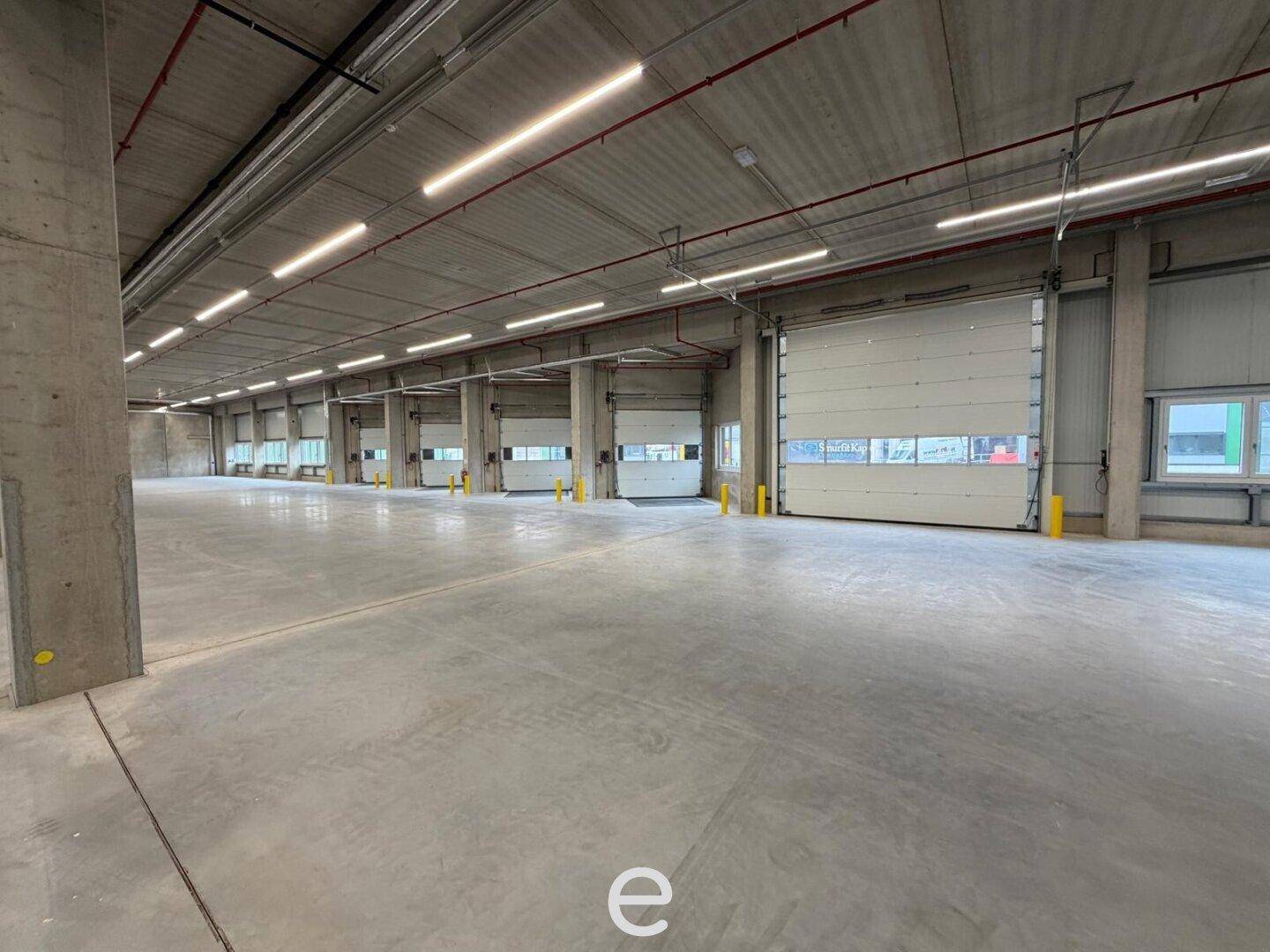 NEUBAU - Produktions / Lagerhalle mit Büroflächen in Enns/Ennshafen zu vermieten – individuell und zukunftsorientiert - Ansicht 3