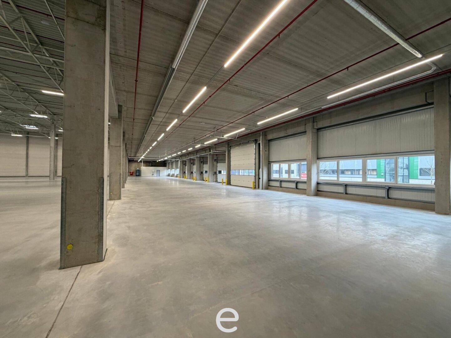 NEUBAU - Produktions / Lagerhalle mit Büroflächen in Enns/Ennshafen zu vermieten – individuell und zukunftsorientiert - Ansicht 2