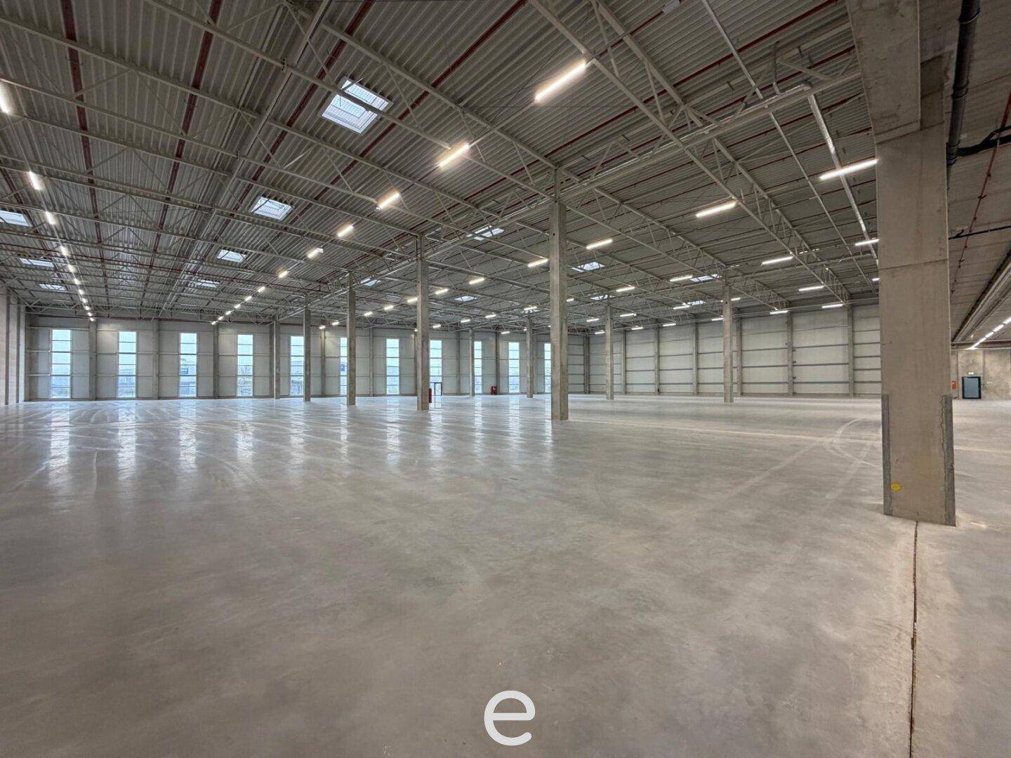NEUBAU - Produktions / Lagerhalle mit Büroflächen in Enns/Ennshafen zu vermieten – individuell und zukunftsorientiert - Ansicht 4