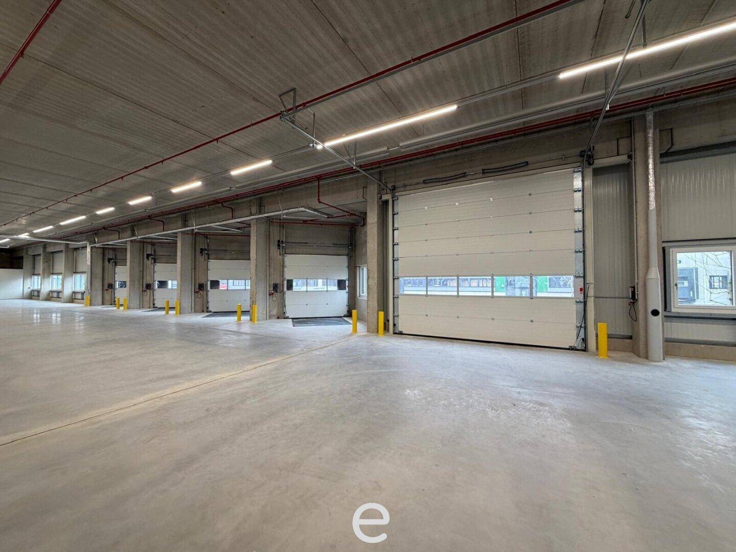NEUBAU - Produktions / Lagerhalle mit Büroflächen in Enns/Ennshafen zu vermieten – individuell und zukunftsorientiert - Ansicht 3