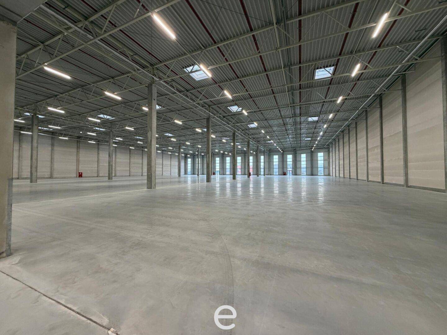 NEUBAU - Produktions / Lagerhalle mit Büroflächen in Enns/Ennshafen zu vermieten – individuell und zukunftsorientiert - Ansicht 5