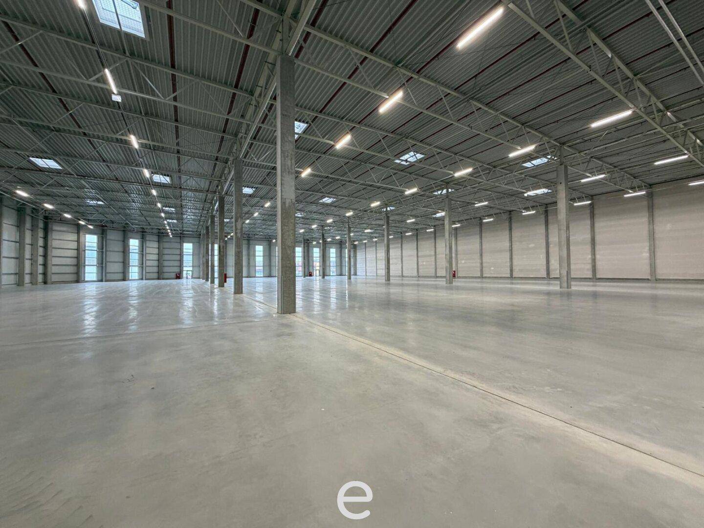 NEUBAU - Produktions / Lagerhalle mit Büroflächen in Enns/Ennshafen zu vermieten – individuell und zukunftsorientiert - Widok 4