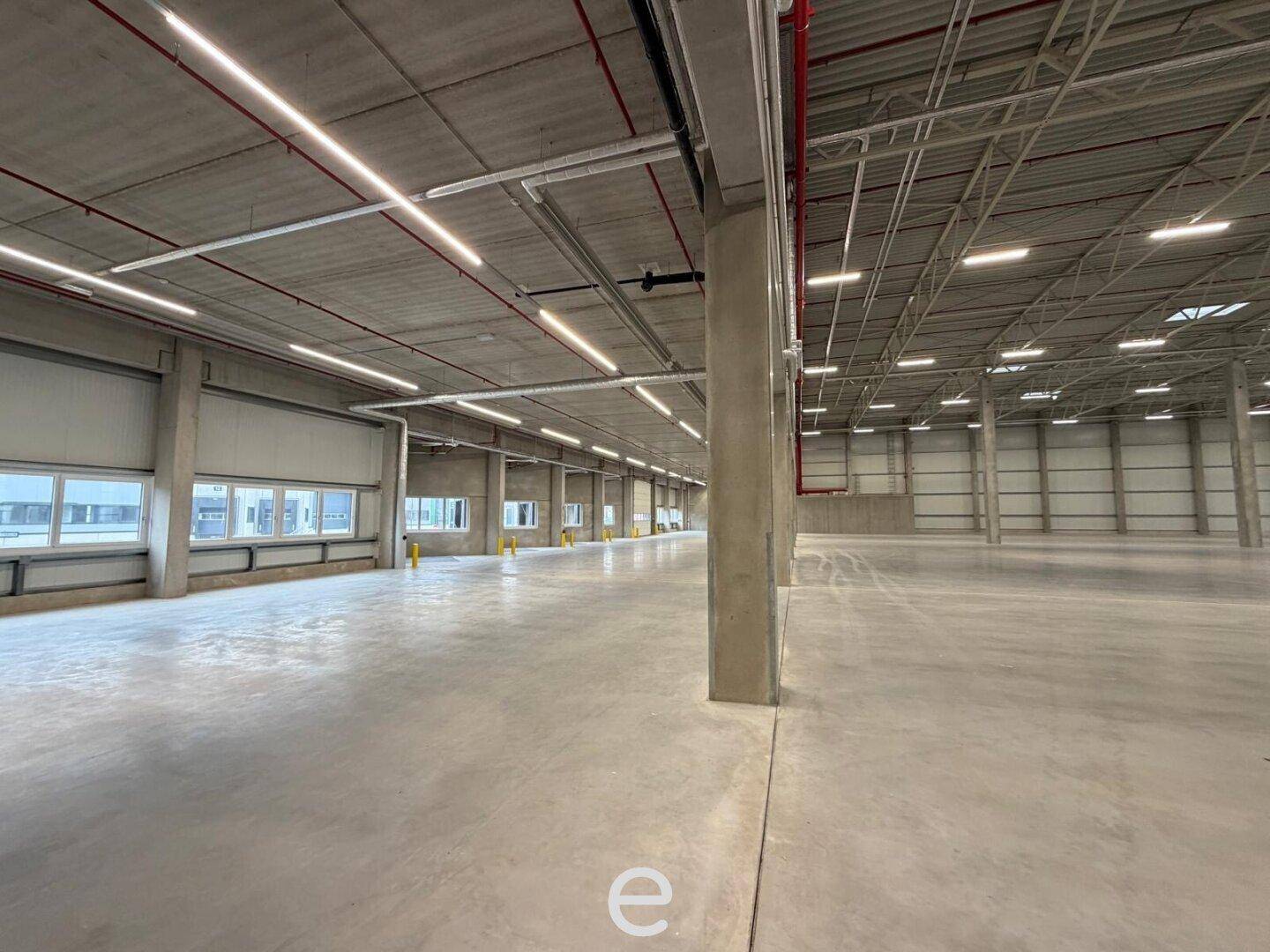 NEUBAU - Produktions / Lagerhalle mit Büroflächen in Enns/Ennshafen zu vermieten – individuell und zukunftsorientiert - Widok 3