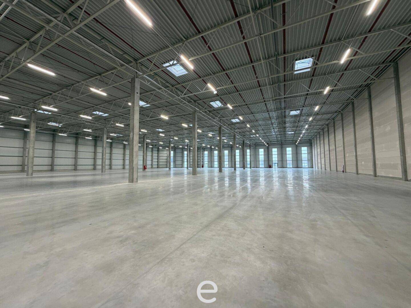 NEUBAU - Produktions / Lagerhalle mit Büroflächen in Enns/Ennshafen zu vermieten – individuell und zukunftsorientiert - Widok 6