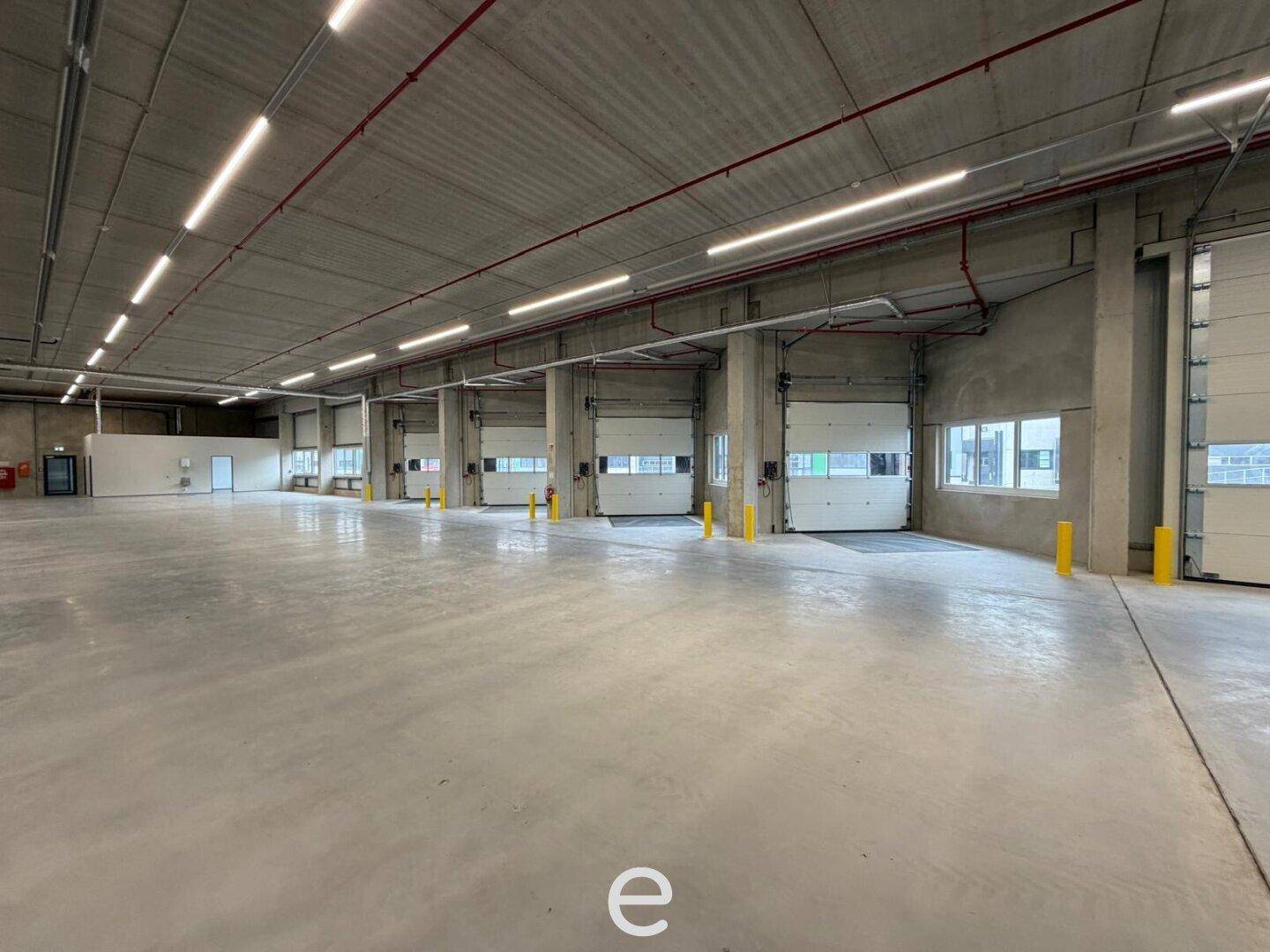 NEUBAU - Produktions / Lagerhalle mit Büroflächen in Enns/Ennshafen zu vermieten – individuell und zukunftsorientiert - Więcej