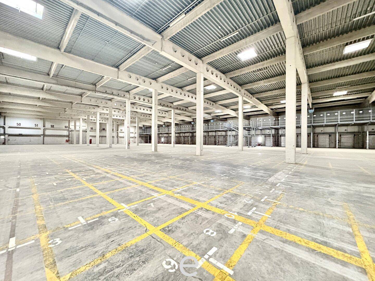 Geräumige, leere Lagerhalle mit hohen Decken, Betonboden und sichtbaren Stützpfeilern, bereit zur Nutzung.