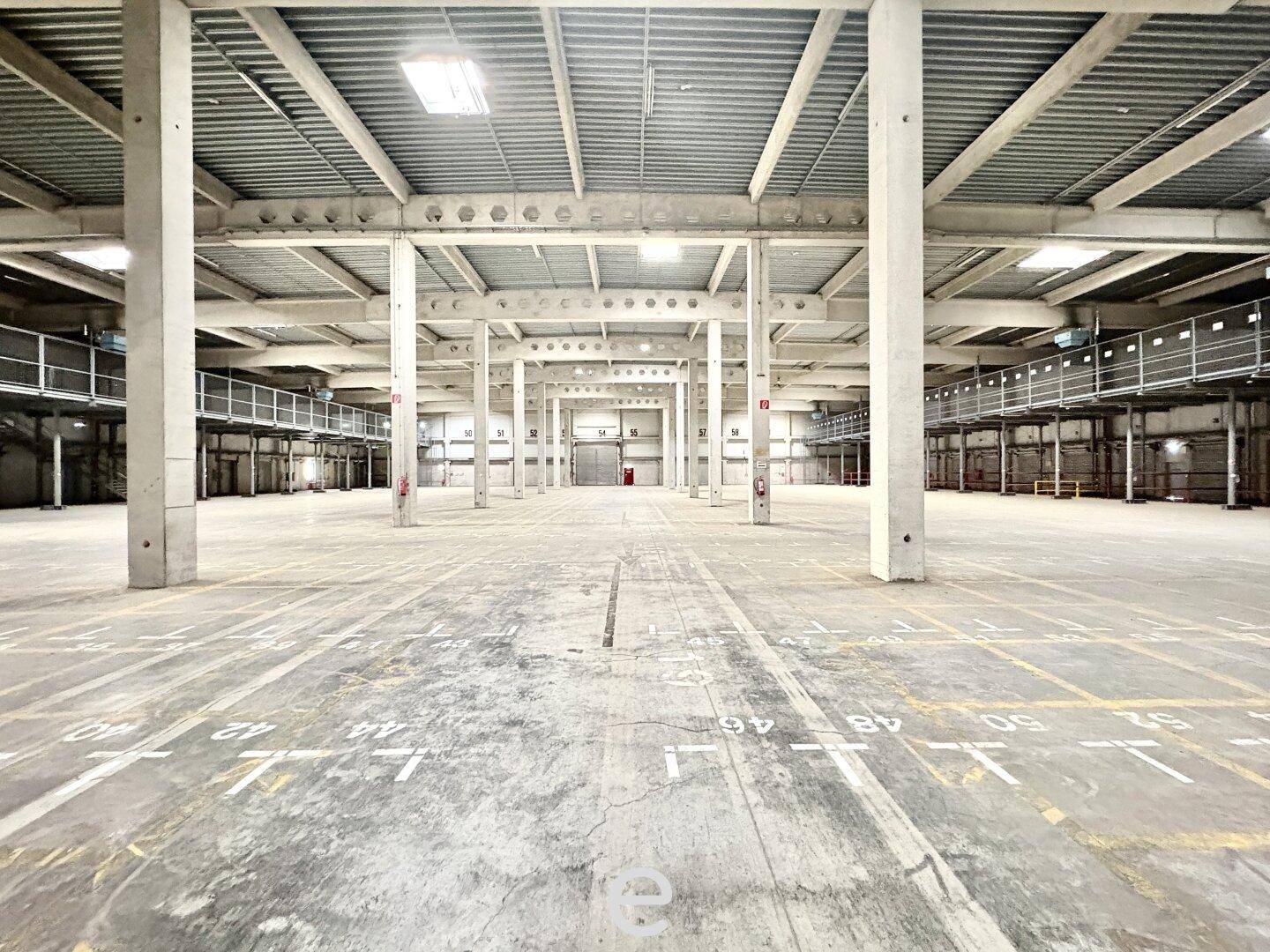 Perspektivische Ansicht einer weitläufigen, leeren Lagerhalle mit vielen Betonpfeilern und einem robusten Betonboden.