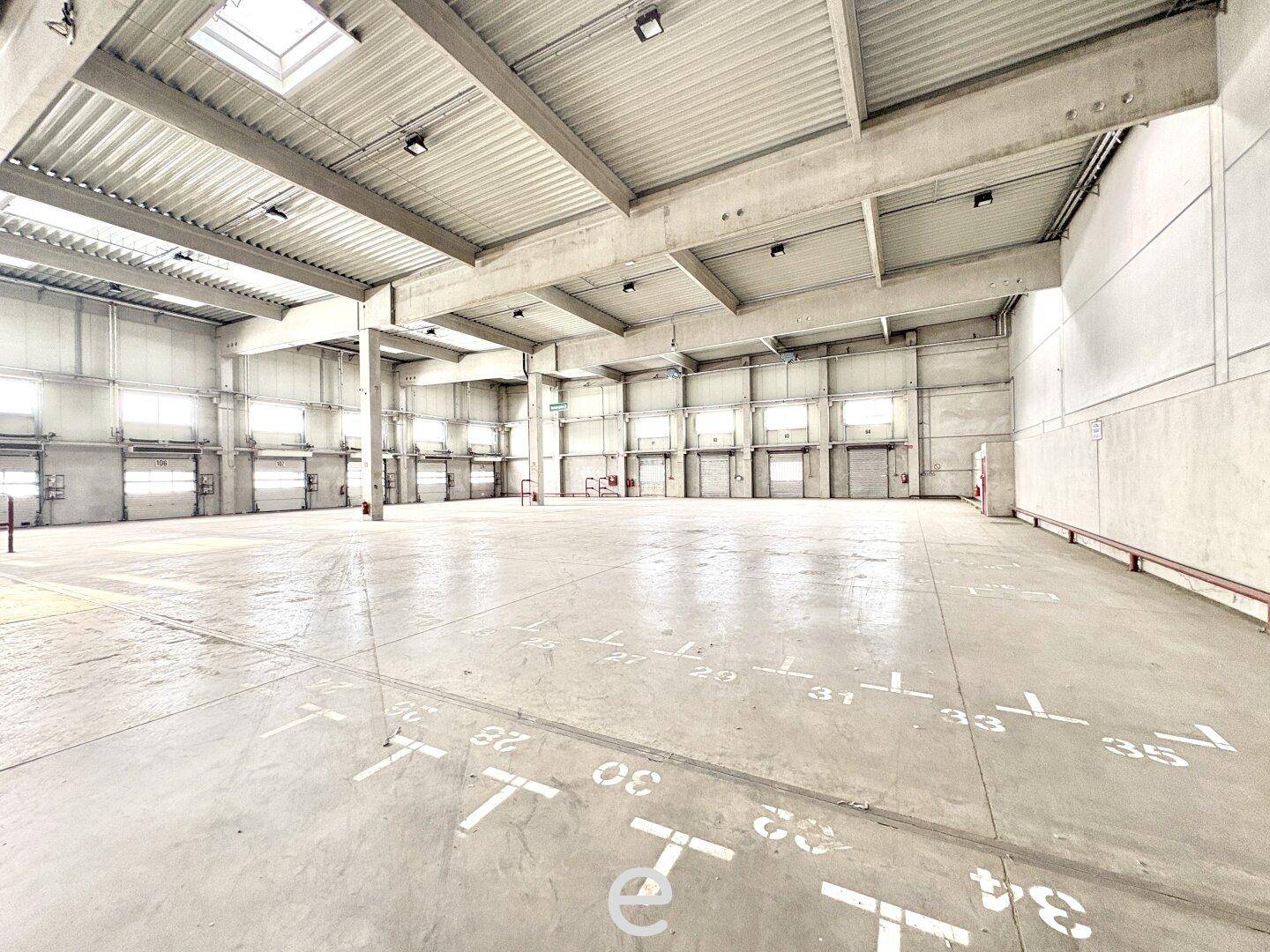 Helle, leere Lagerhalle mit Betonboden, weißen Markierungen und Oberlichtern, die natürliches Licht hereinlassen.