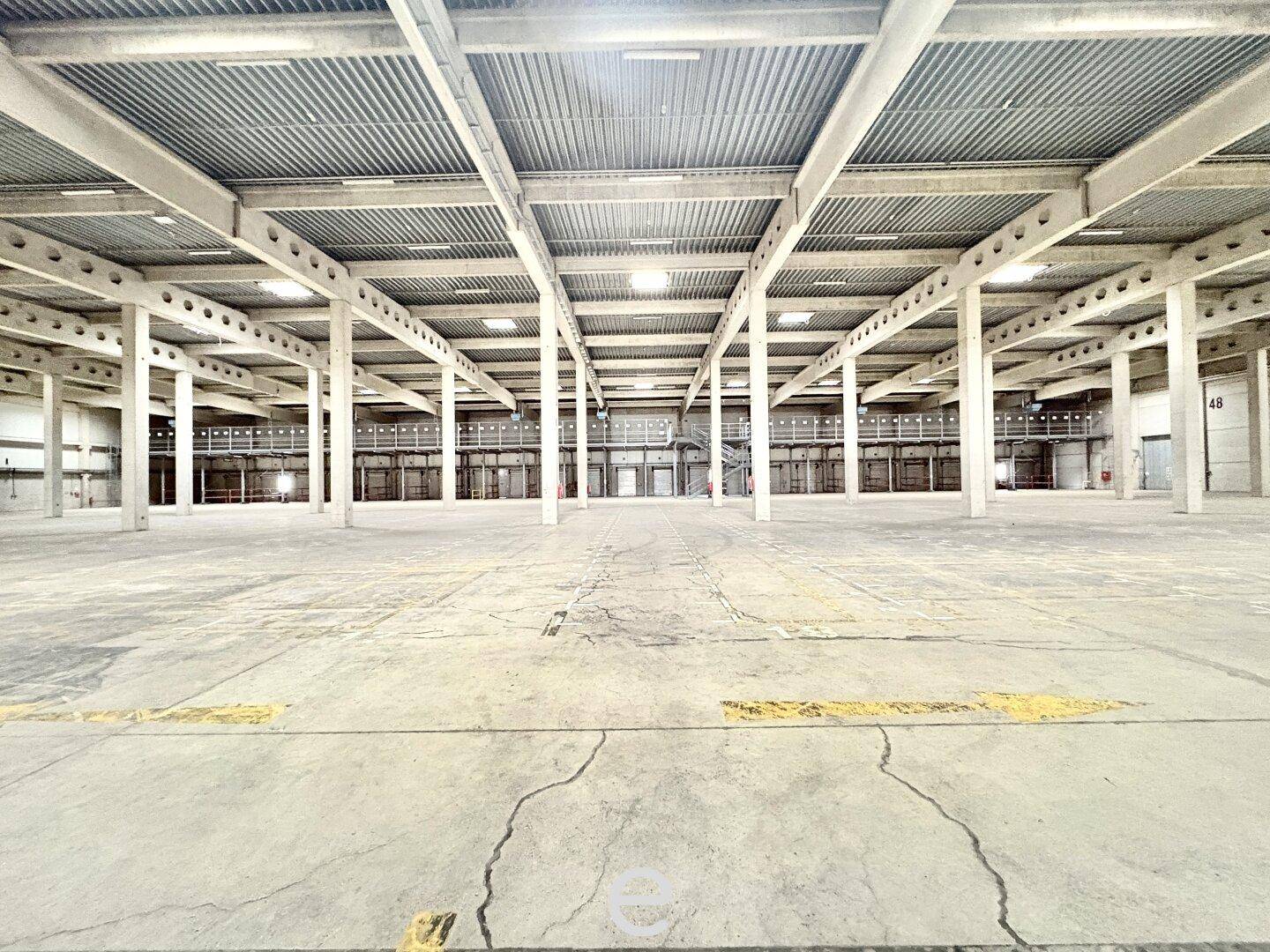Weitläufige, leere Lagerhalle mit Betonboden, gelben Markierungen und einer Reihe von Betonpfeilern, die die Struktur stützen.