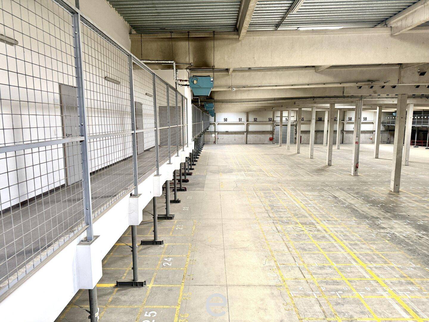 Große, leere Lagerhalle mit Betonboden, gelben Markierungen und einem eingezäunten Bereich entlang der Wand.