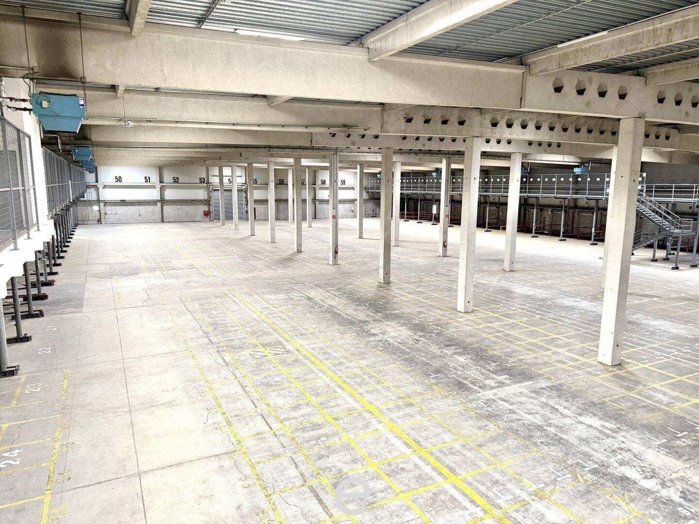 Weitläufige, leere Lagerhalle mit Betonboden, gelben Markierungen und vielen Betonpfeilern, die eine robuste Struktur bilden.