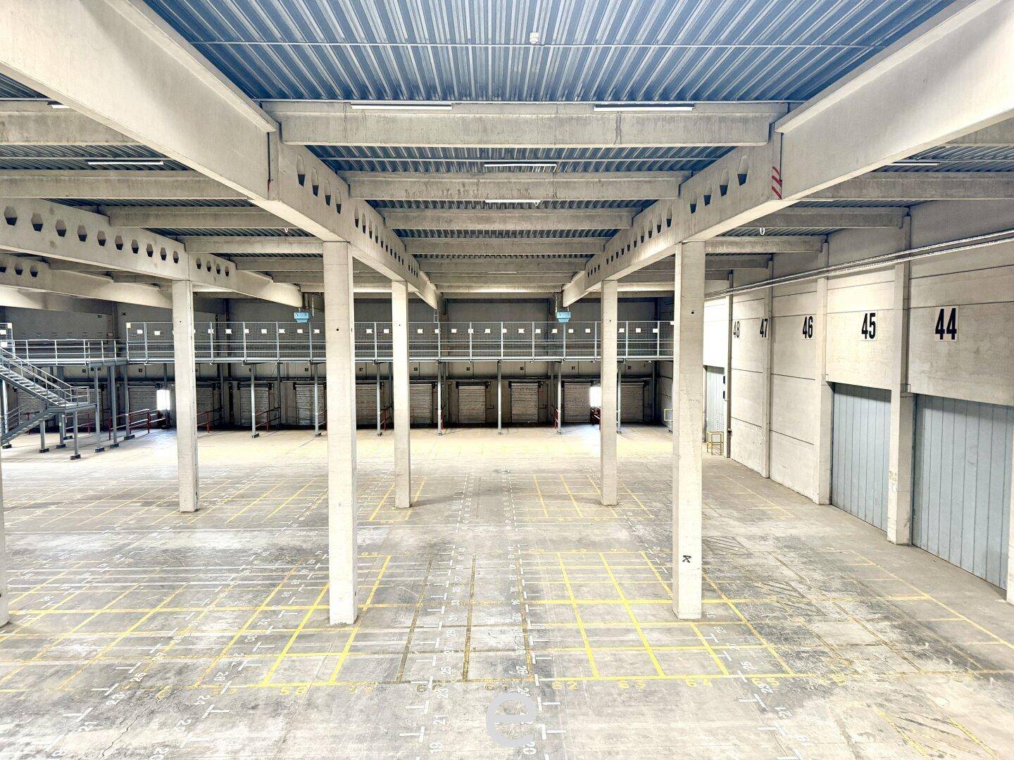 Perspektivische Ansicht einer großen, leeren Lagerhalle mit Betonboden und einer Reihe von Betonpfeilern, die den Raum definieren.