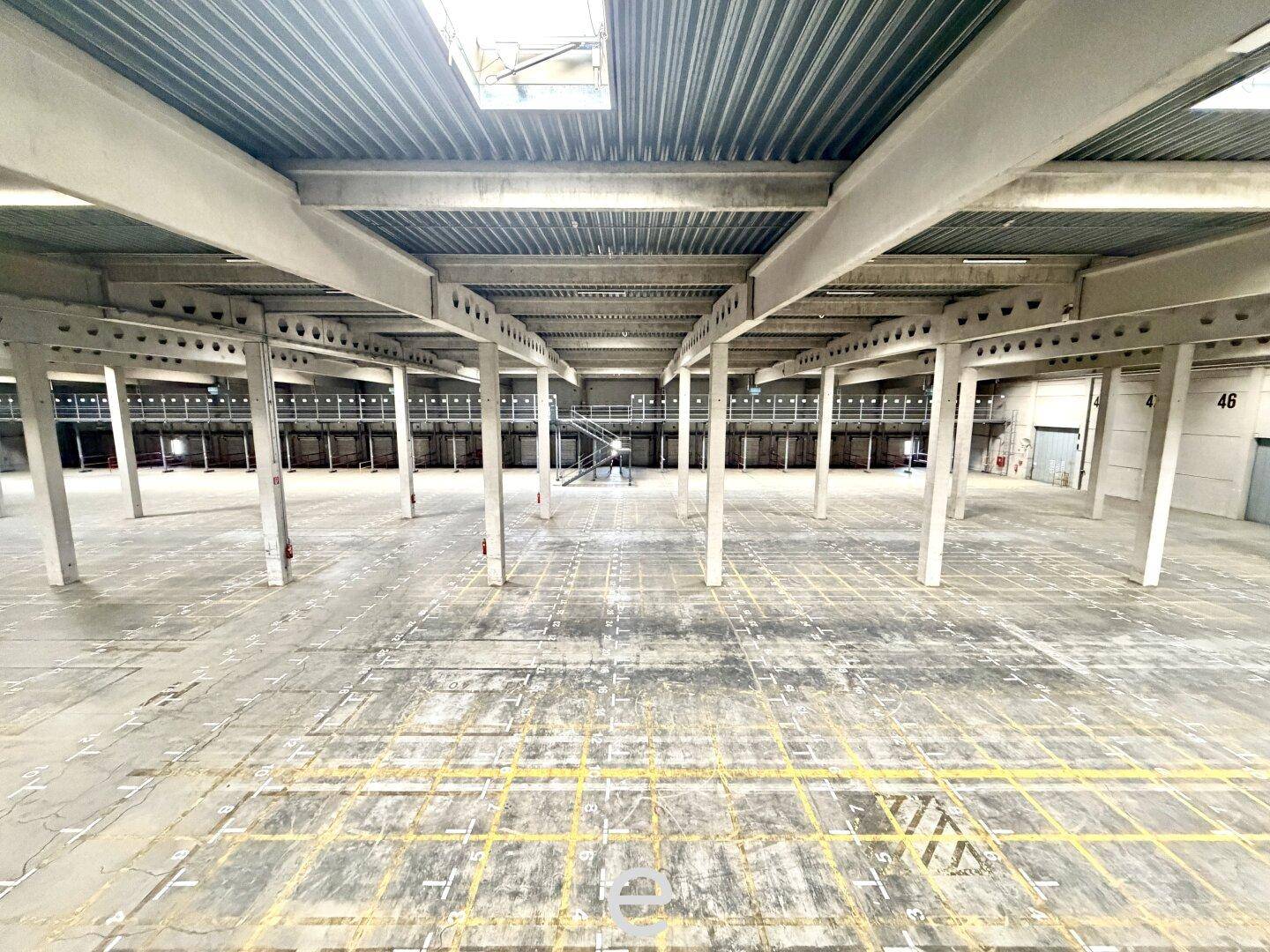 Geräumige, leere Lagerhalle mit Betonboden, gelben Markierungen und einer Reihe von Betonpfeilern, die den Raum strukturieren.