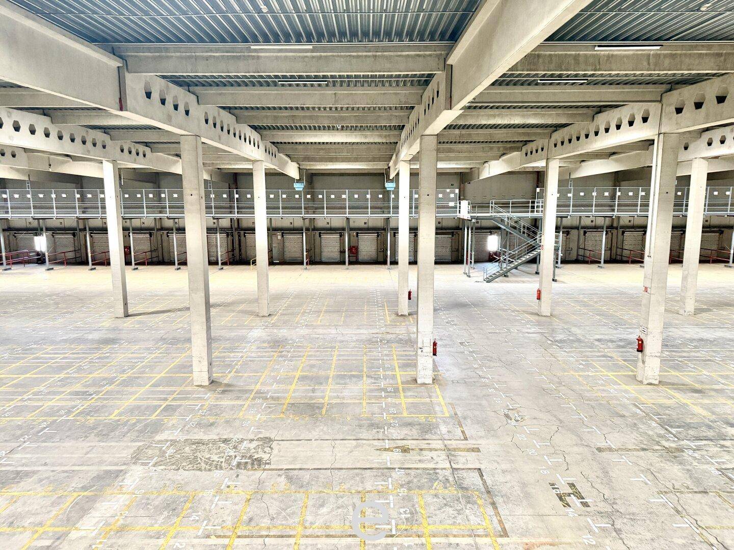 Weitläufige, leere Lagerhalle mit Betonboden, gelben Markierungen und einer Reihe von Betonpfeilern, die den Raum gliedern.