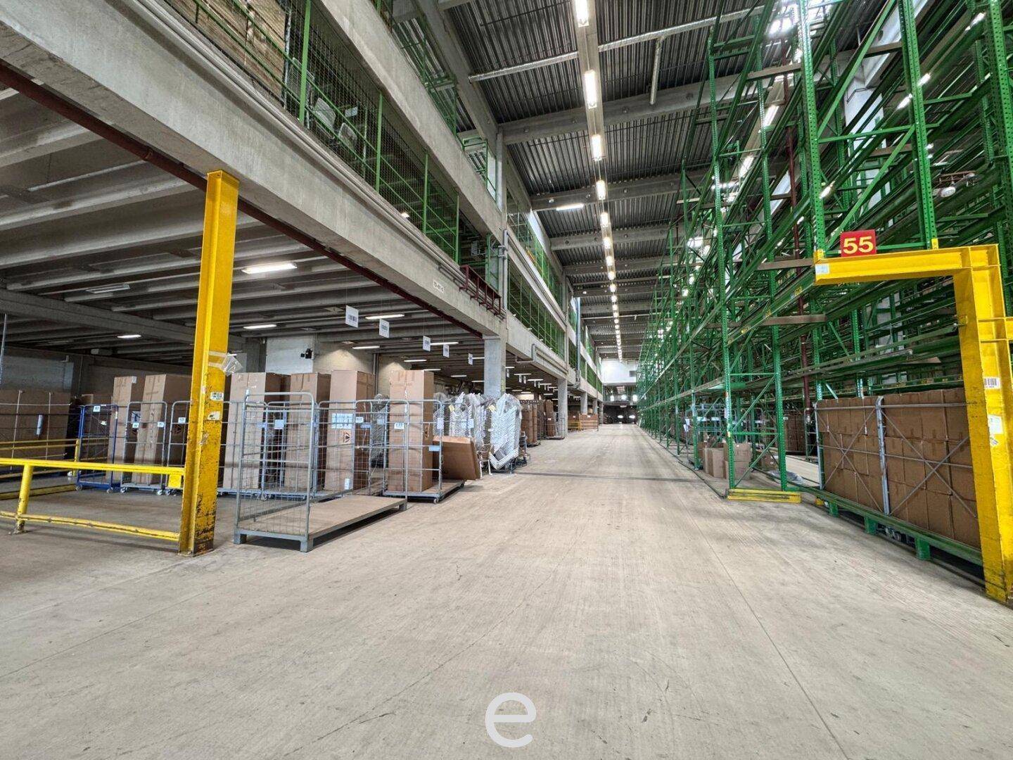 Langer Gang in einer Lagerhalle mit hohen Regalsystemen, die mit Waren gefüllt sind, und Betonboden.
